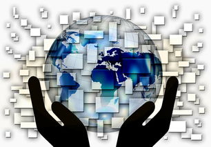 爱游戏智能平台-全国电子竞技公开赛上海收官，全国电子竞技大赛官网2020